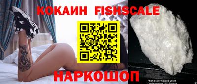 индика Заволжье