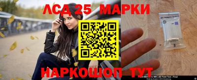 индика Заволжье