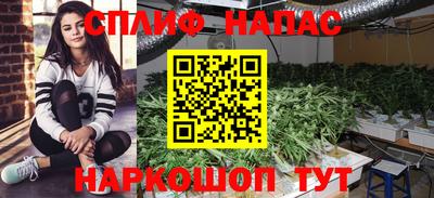 индика Заволжье