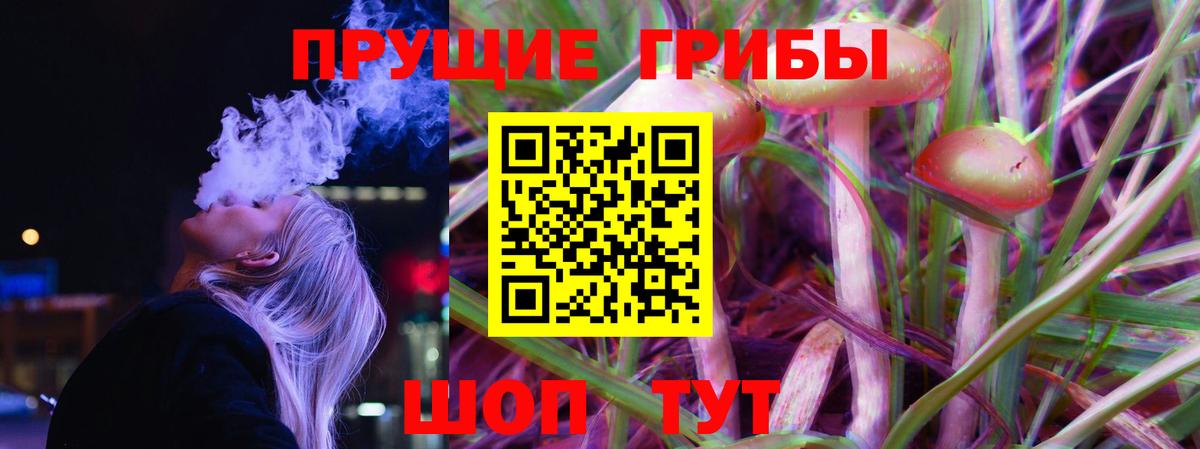 Галлюциногенные грибы MAGIC MUSHROOMS Междуреченск