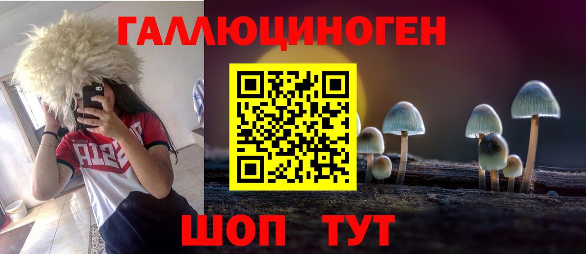 Псилоцибиновые грибы GOLDEN TEACHER  Вход с VPN  Междуреченск  Галлюциногенные грибы Cubensis 
